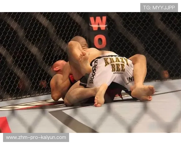 UFC拳手被KO倒地后自己站起来鼓掌 UFC拳手被KO倒地后自己站起来鼓掌