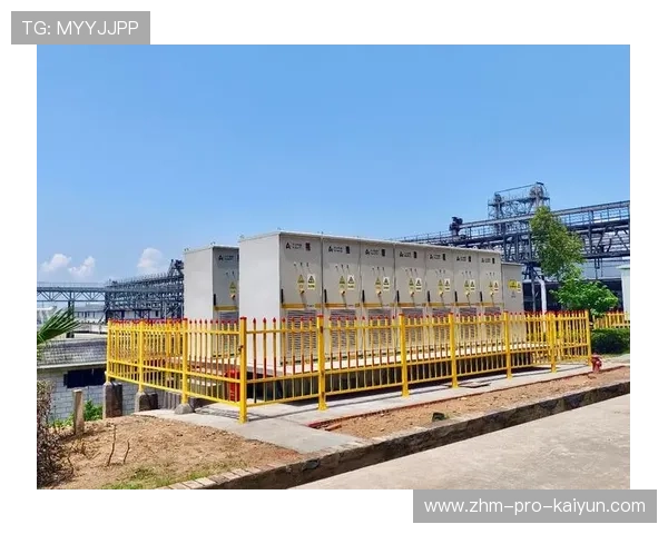 储能型训练设备被多队采用提高恢复效率，储能技术包括哪两类