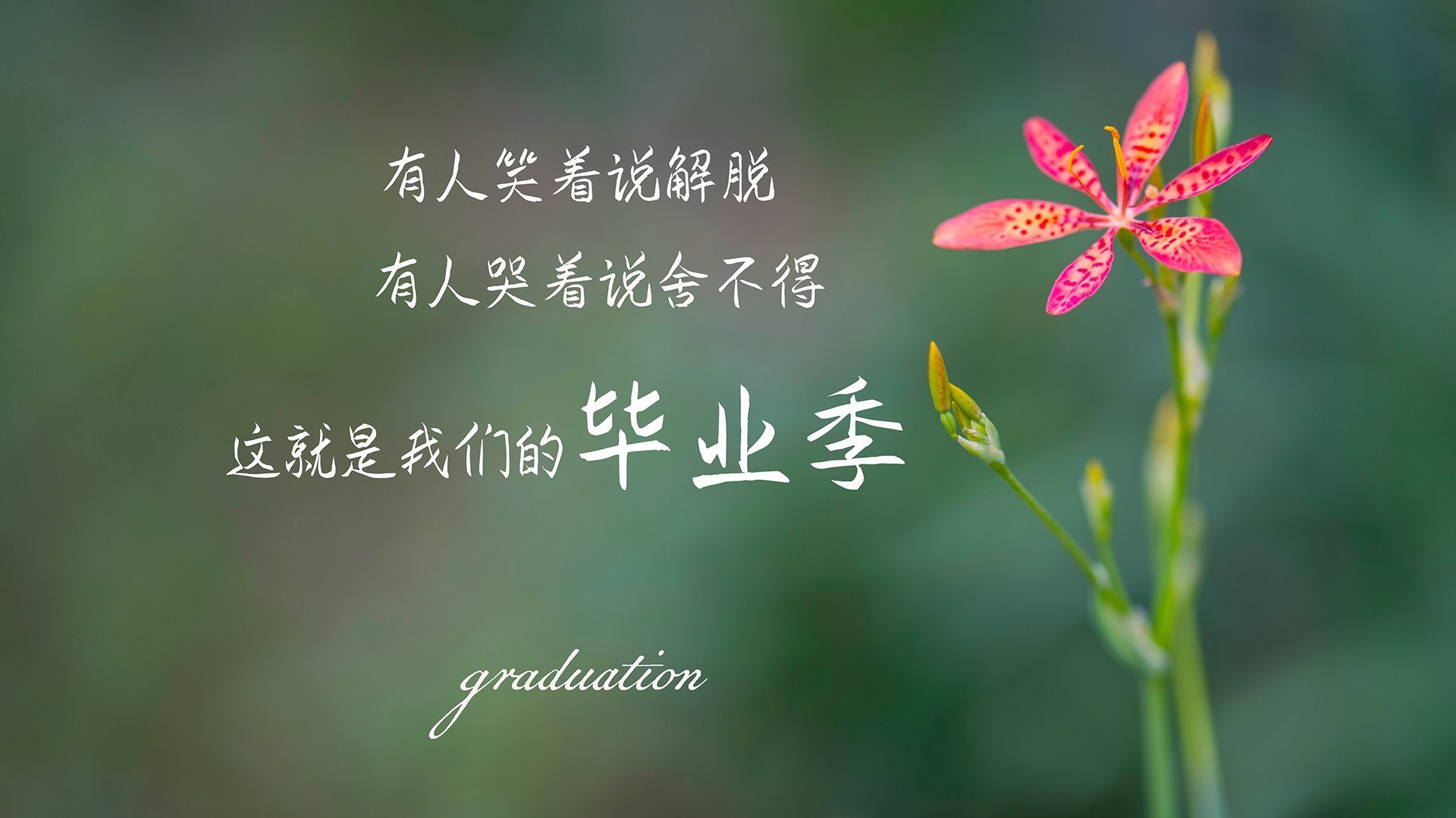 体育赛事数字版权保护,数字化体育赛事