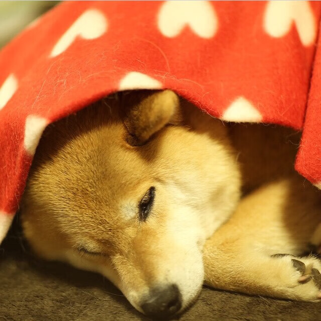 德甲球队通过模拟预测系统预判防守断点区域,德甲预测网址是多少啊b102.c-c