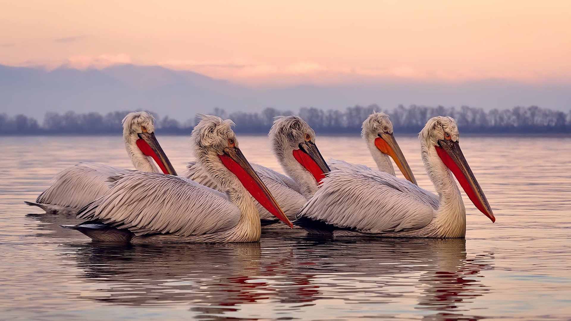 开云体育在线官网-英超球队通过AI分析优化多角度高压逼抢覆盖区域，英超太强