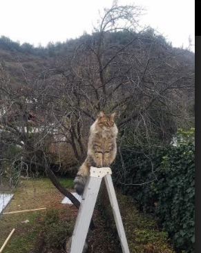 “世界顶级选手齐聚武汉，马拉松赛场激烈开跑”