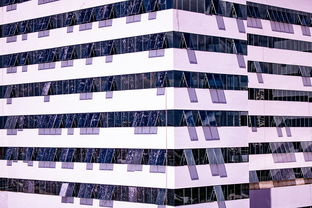 开云体育app下载-体育新闻中心建设体育数字内容版权保护体系，体育数据新闻