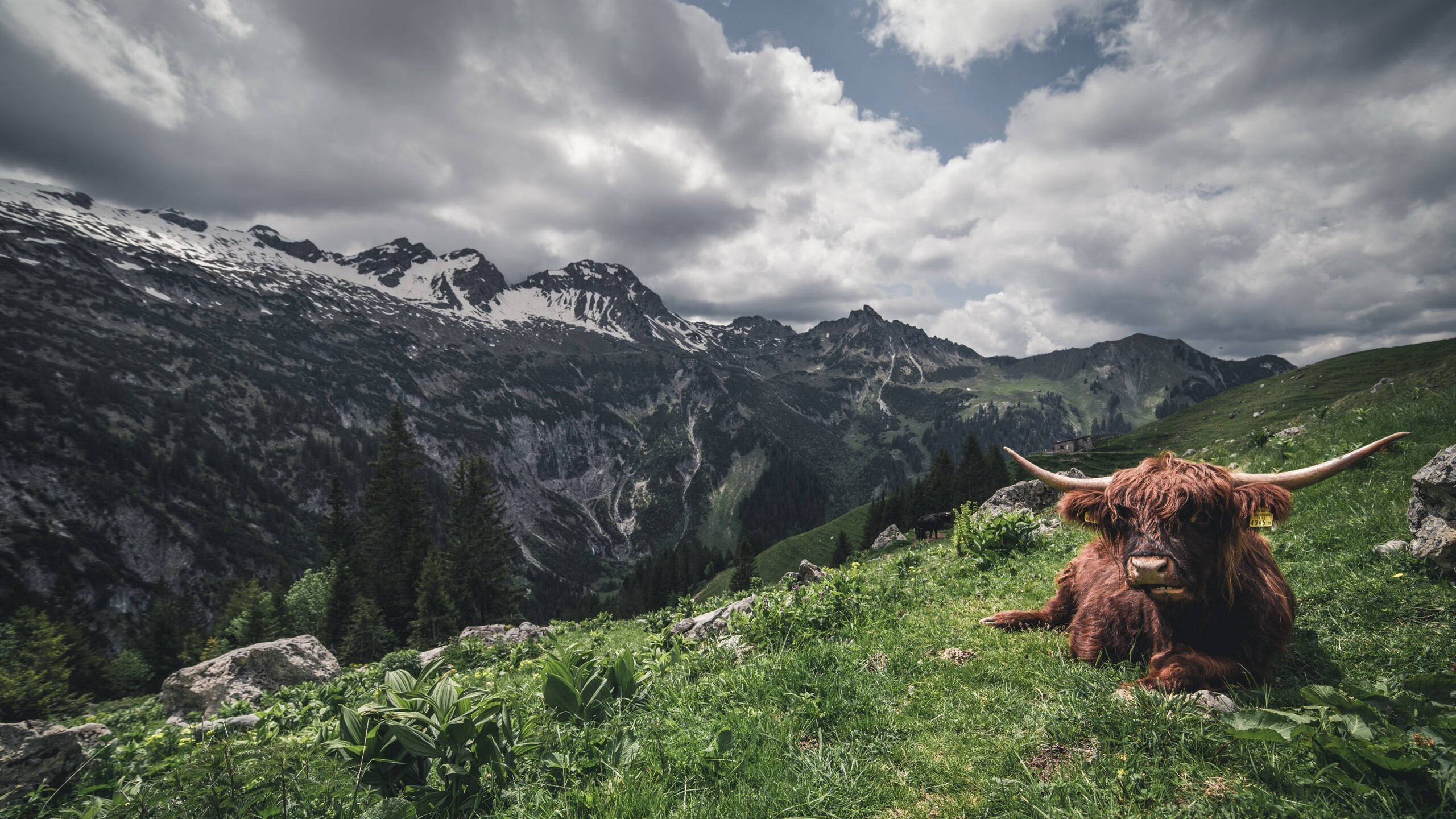 体育新闻中心建设体育数字内容版权保护体系，体育数据新闻