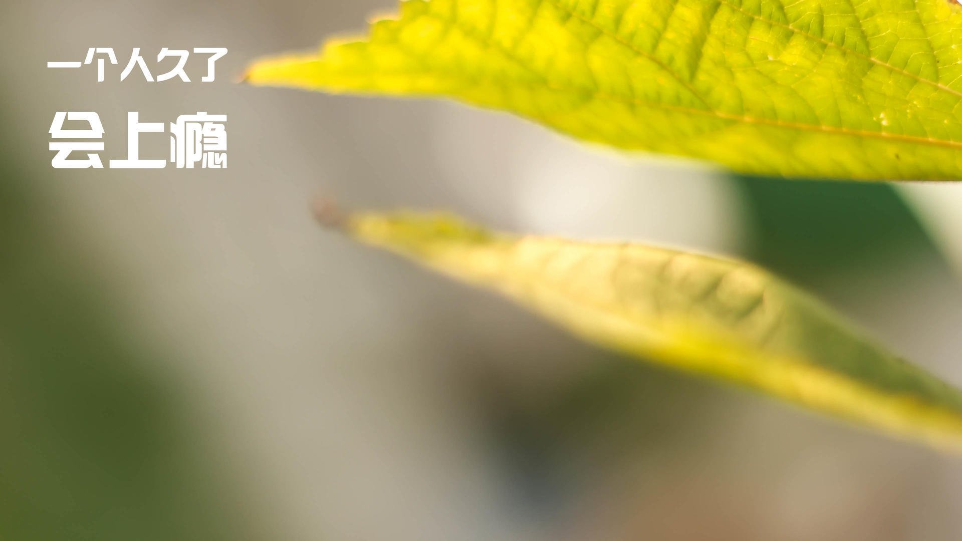 羽毛球混双项目热度提升引发关注，羽毛球混双啥意思