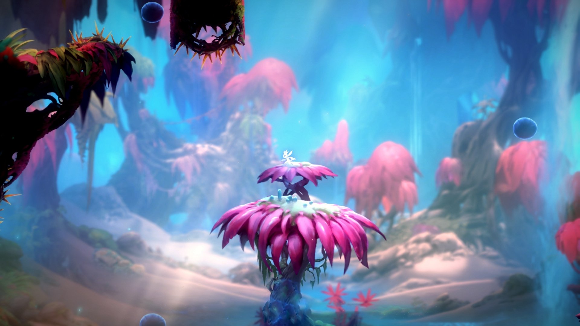 开云体育官网app-都灵加强后腰覆盖弥补防守漏洞