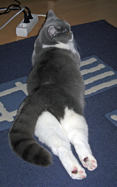 乔治防守端贡献四次抢断展现全面能力，乔治防守什么水平