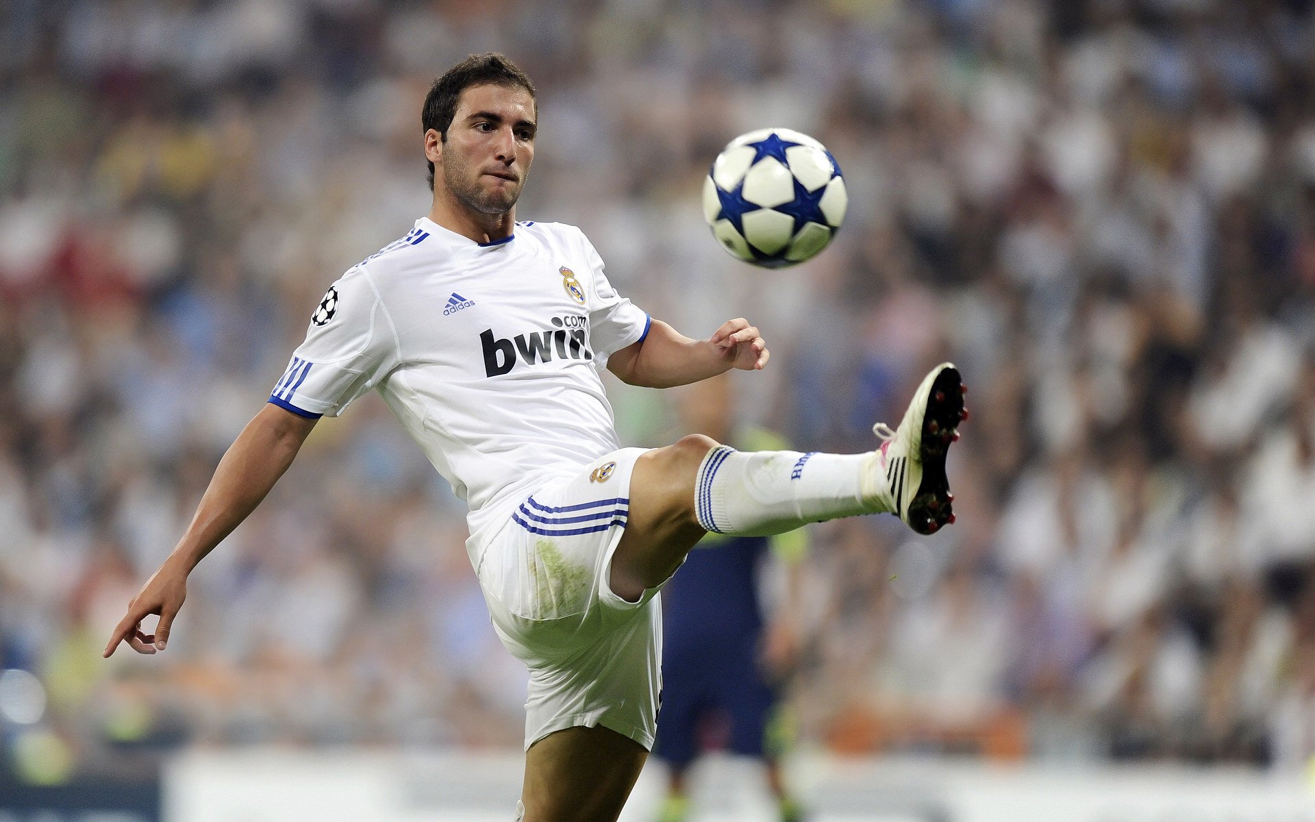 全国足球青训计划全面启动，中国足球青训体系是什么