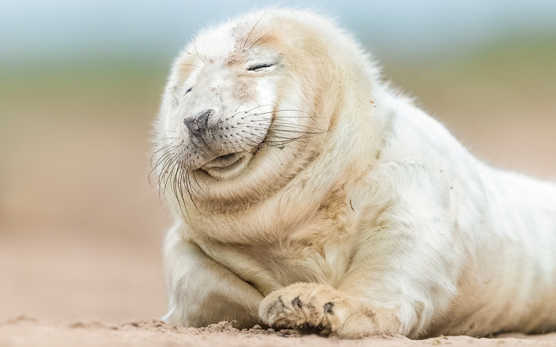 开云体育娱乐-在阿拉伯国家举办的国际足球比赛成为焦点，展现区域足球发展，阿拉伯足球运动员