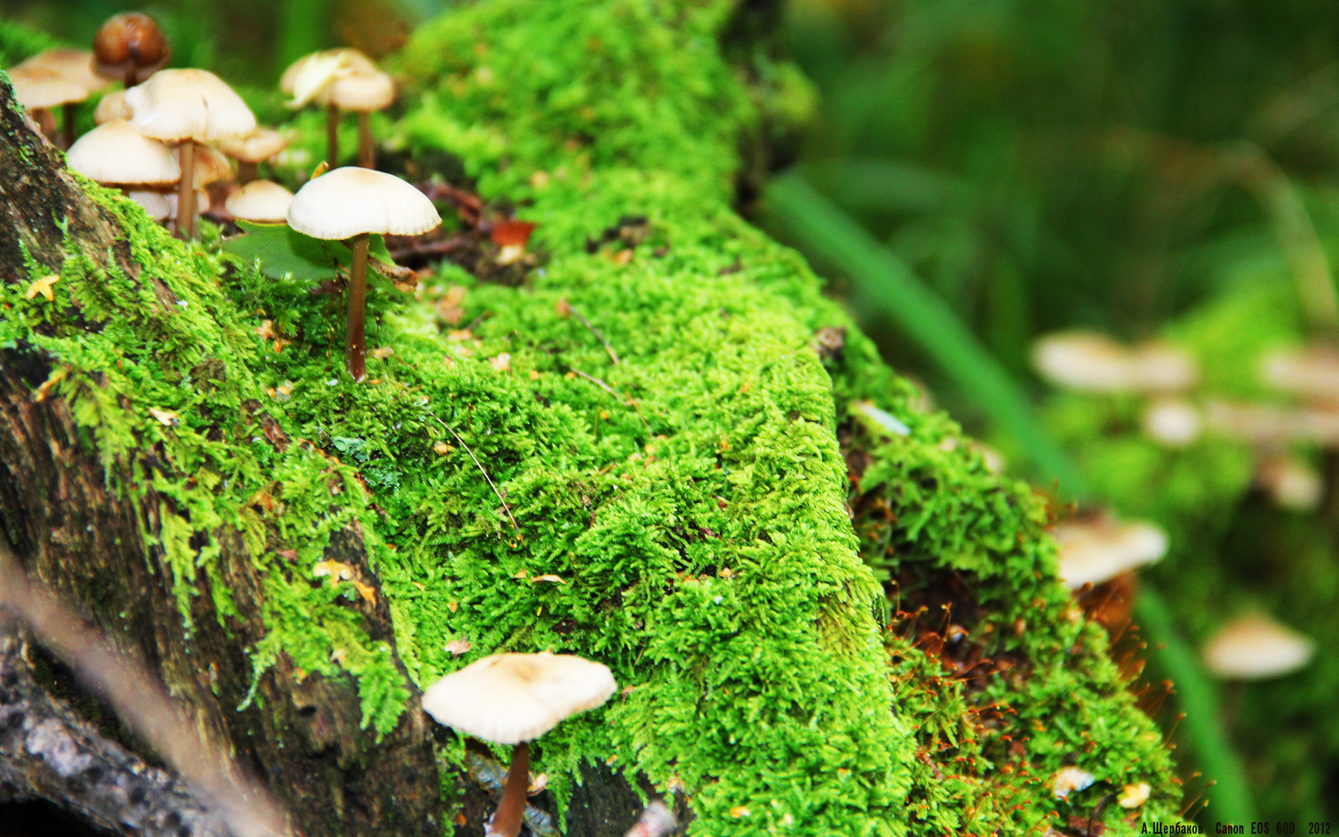 技术训练方法国际化进展明显,技术训练的常用方法有哪些