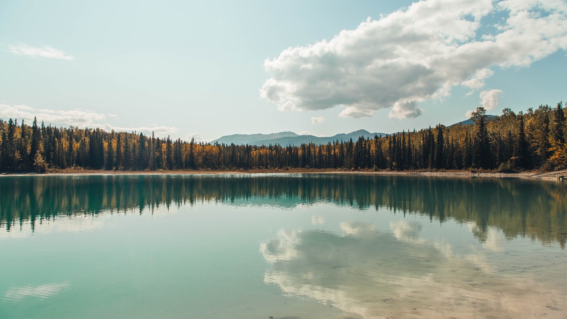 开云在线登入-澳大利亚橄榄球赛事收视率创新高，全球关注度增加，澳式橄榄球比赛