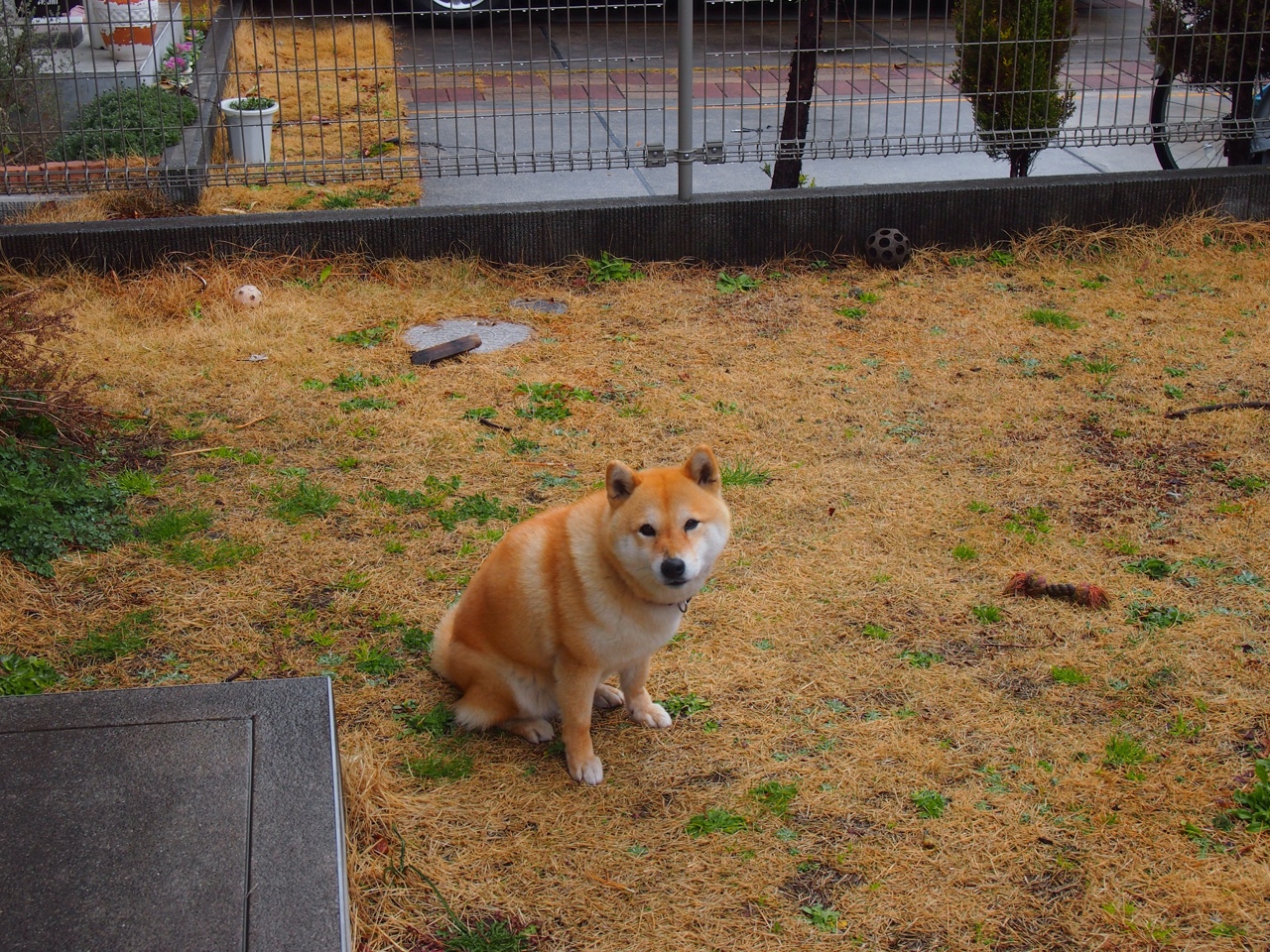 PSG体能调度问题暴露密集赛程弊端，体能ps评分标准