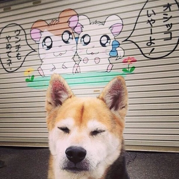 中国足球产业链商业化机会与风险并存，中国足球产业发展现状