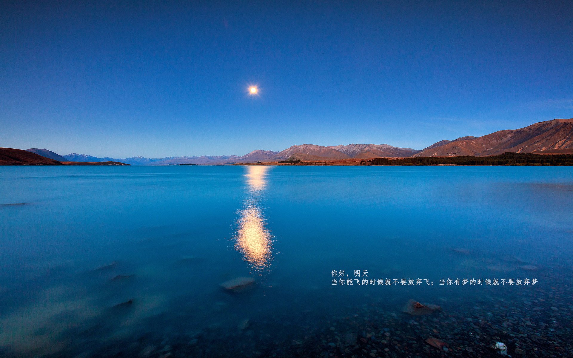 主动提速！辽宁队战术转型 付豪瘦身后状态回升明显，付豪辽宁首秀