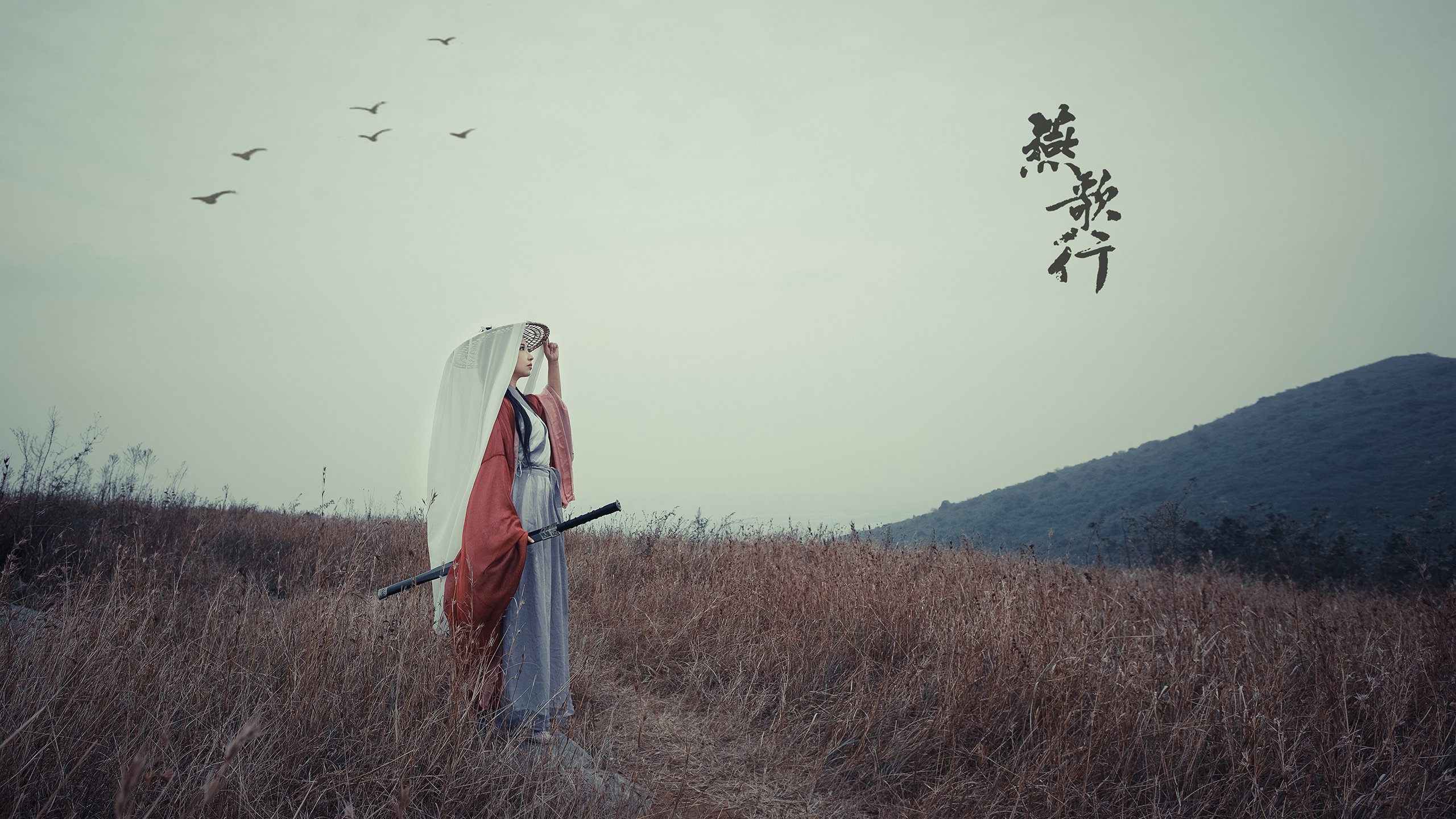 开云体育入口-刘芳领导力助球队稳步前进，刘芳近况